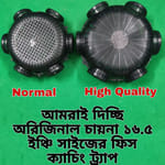 Base Image